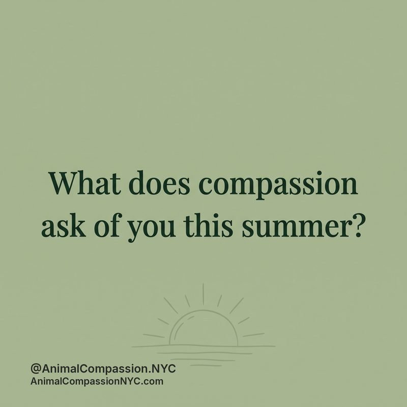 Reflection post — July 26, 2026