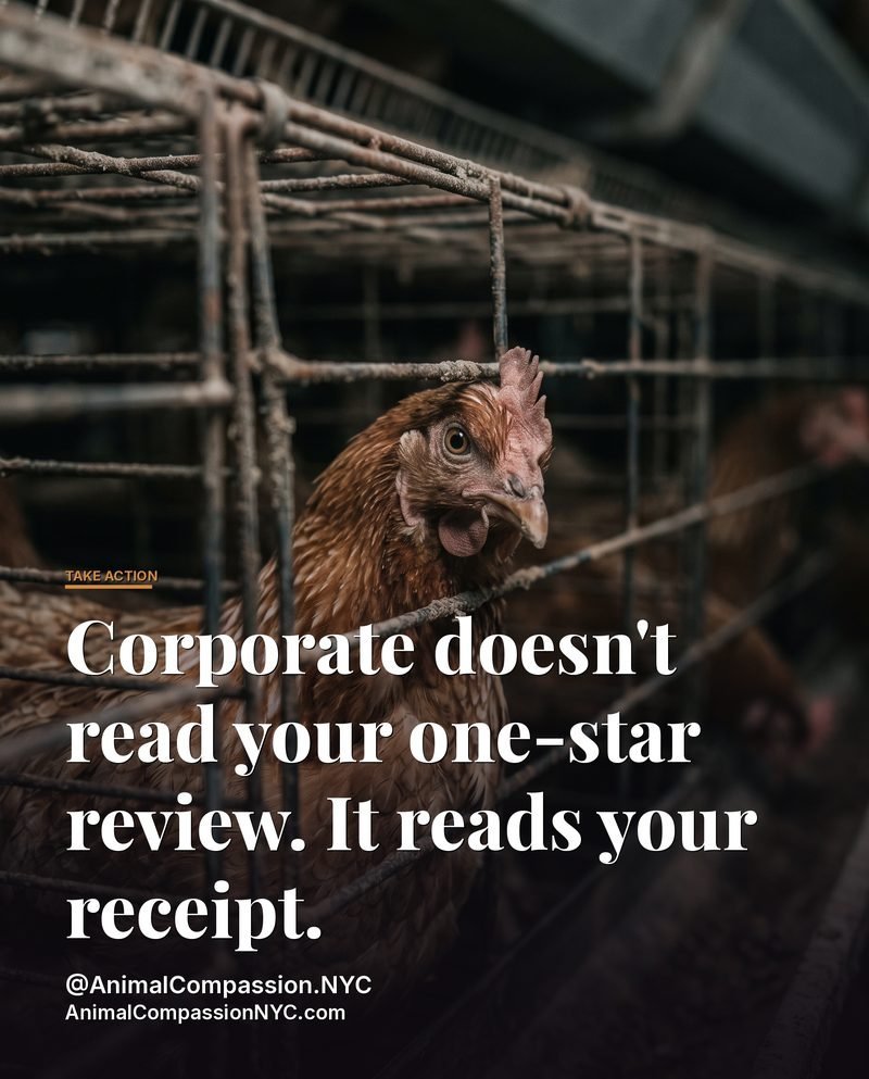 Take Action Tuesday post — August 4, 2026