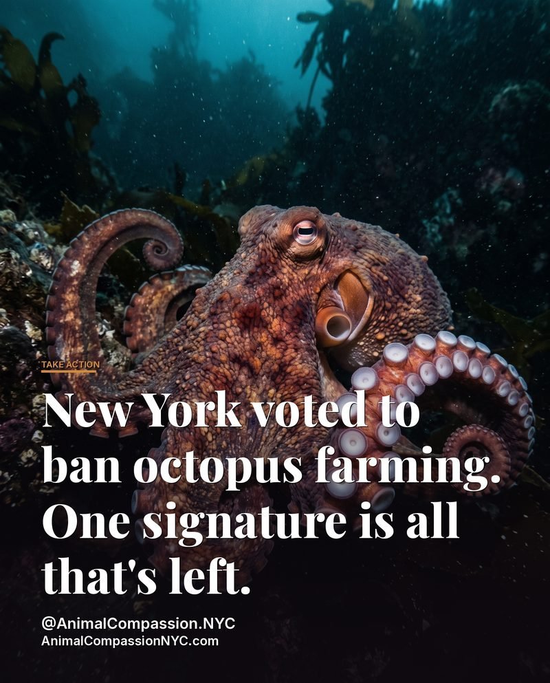 Take Action Tuesday post — August 4, 2026