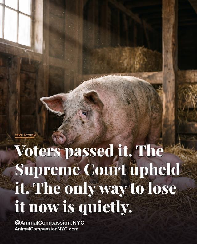 Take Action Tuesday post — August 18, 2026