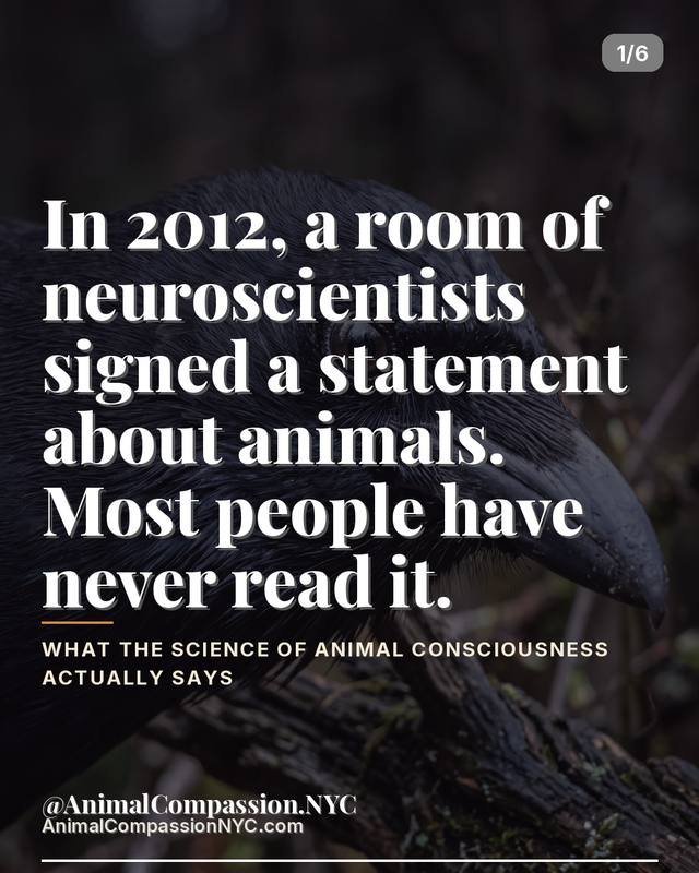The Science of Compassion post — August 24, 2026