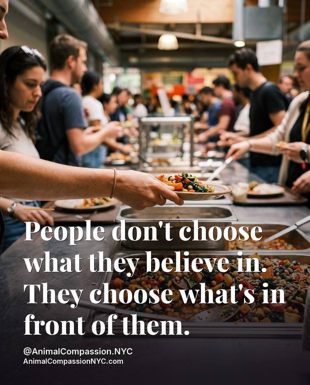 Take Action Tuesday post — August 25, 2026