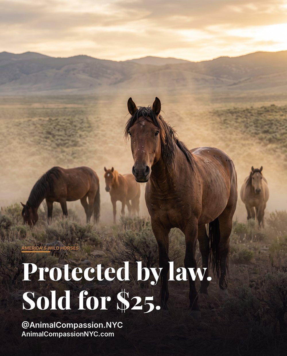 Take Action post — August 27, 2026